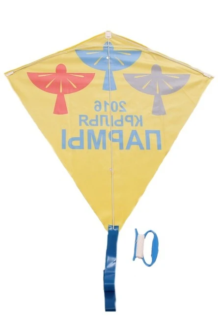 Воздушный змей Парус с полной запечаткой "Wings of Parma"#2