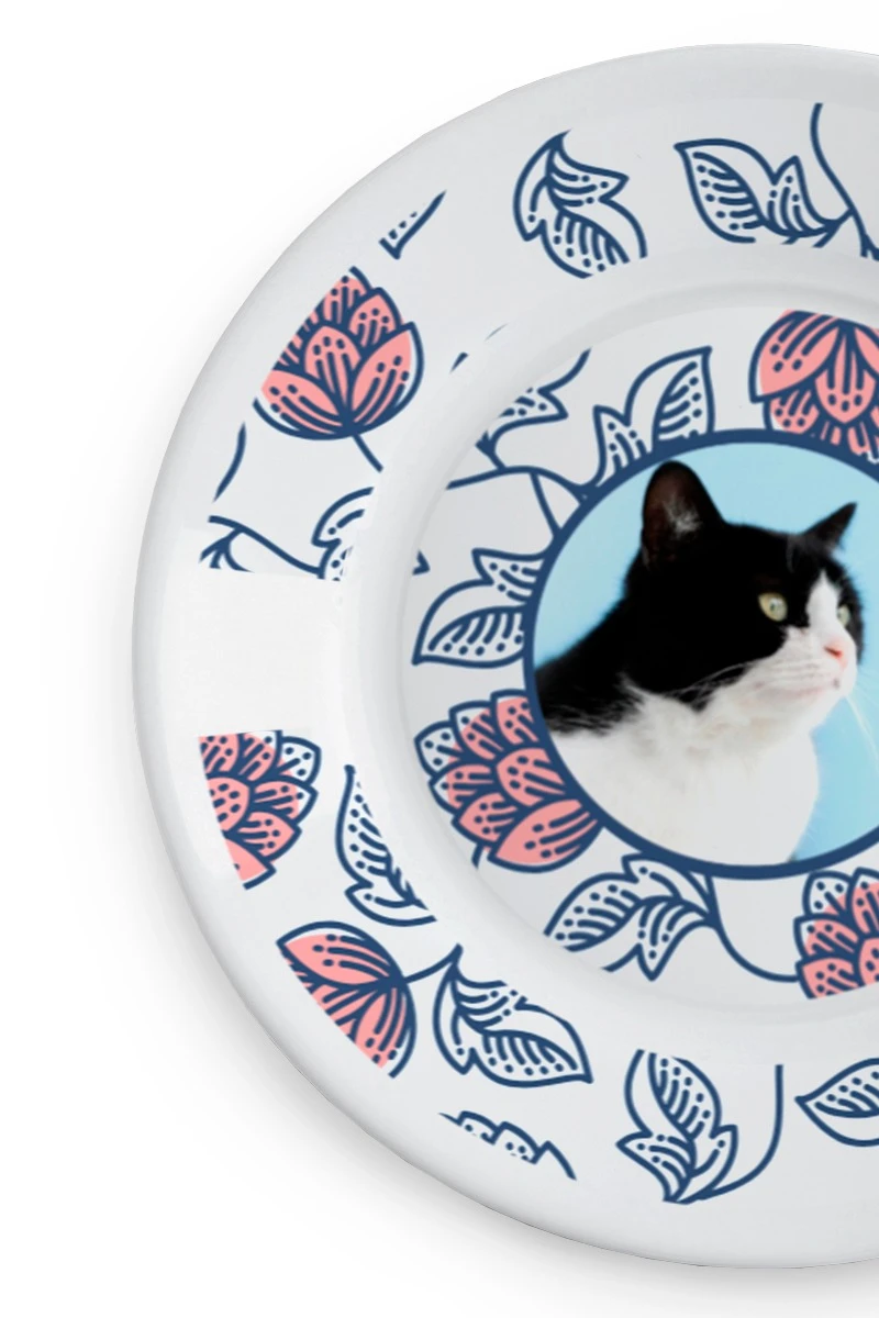 Тарелка с принтом на ободе "Cat's plate"#1