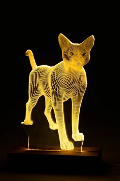 Награда из акрила 20х13 см, с гравировкой (с белой подсветкой)#1