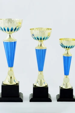 Кубок ИК0012#1