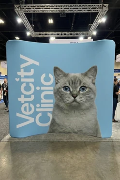 Мобильный тканевый стенд "Фрейм", изогнутая дуга, 250х230 см#2