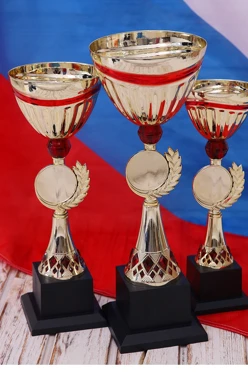 Кубок ИК0063#1