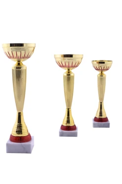 Кубок КМ4012#1