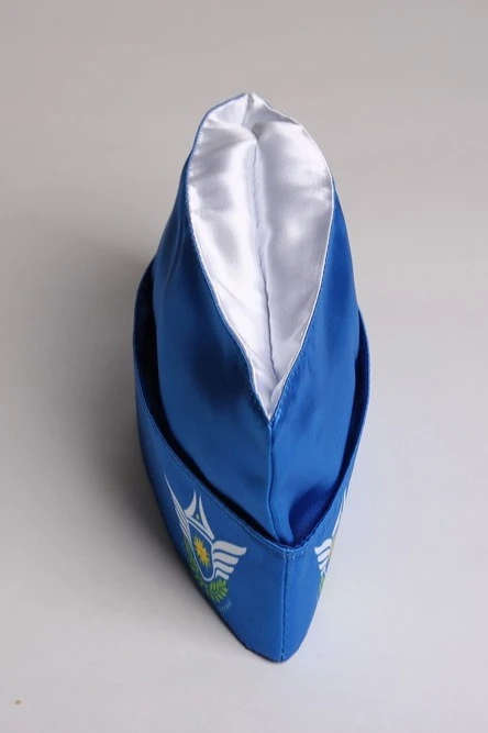 Пилотка Полет фигурная с полной запечаткой "Wings of Knowledge"#1 Пилотка Полет фигурная с полной запечаткой "Wings of Knowledge"#1