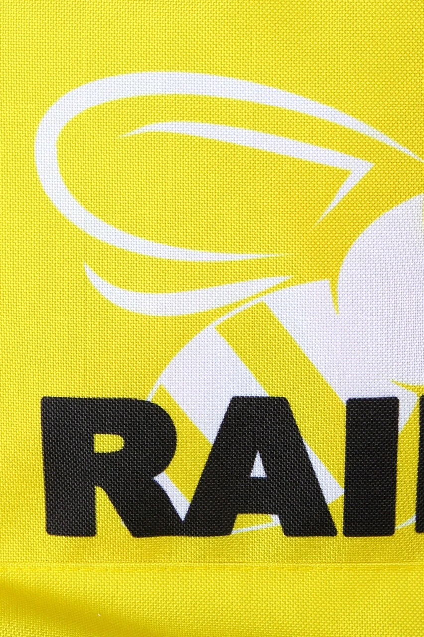 Купить рюкзак Кэрри "Raid" Купить рюкзак Кэрри "Raid"