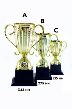 Купить кубок ИК0002