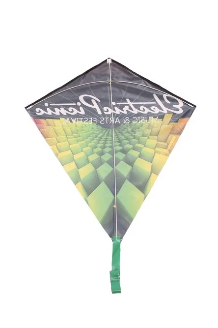 Купить воздушного змея Клоун, с полной запечаткой "Electric Picnic" Купить воздушного змея Клоун, с полной запечаткой "Electric Picnic"