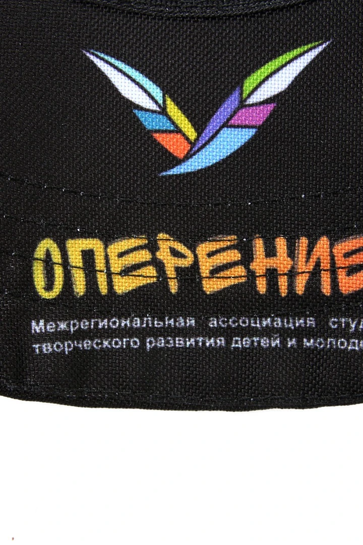 Бейсболка Стандарт взрослая с полной запечаткой (полиэстер) "Plumage"#6