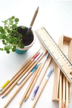 Набор растущих карандашей в пенале