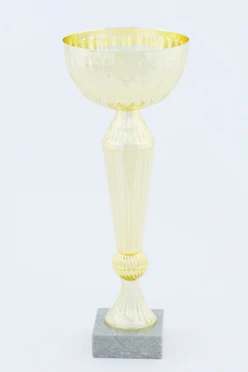 Кубок ИК0019#2