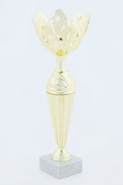 Кубок ИК0023#2