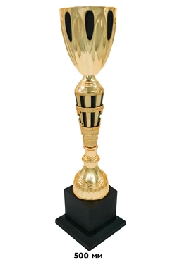 Купить кубок ИК0084