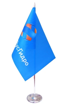 Флажок фирменный 15х22 см#2