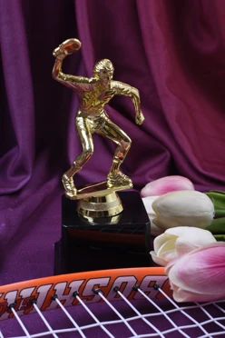 Приз Настольный теннис муж. 204-091-G#1