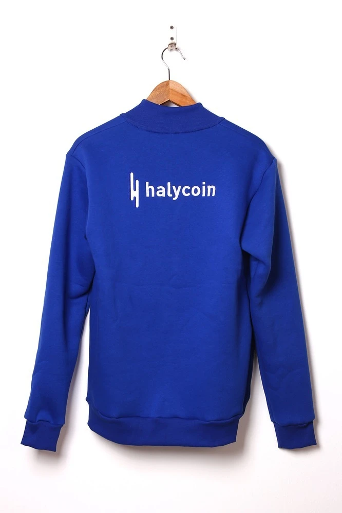 Толстовка Томас из футера унисекс, однотонная "Halycoin"#6 Толстовка Томас из футера унисекс, однотонная "Halycoin"#6