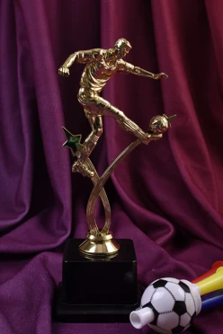 Приз Футболист F4913-G#2