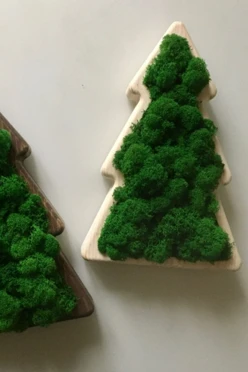 Ёлка 20х30 см со стабилизированным мхом#2