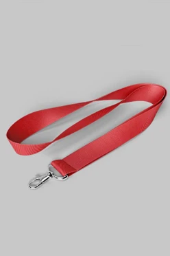 Лента для бейджа репс ширина 2 см#2