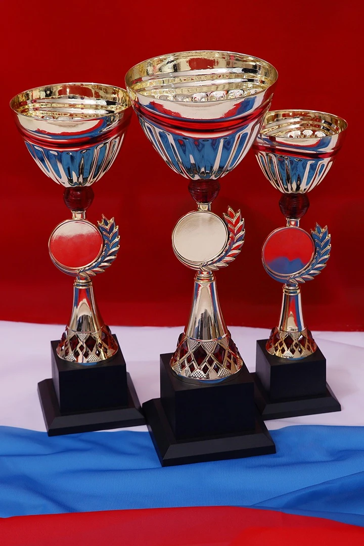 Кубок ИК0063#1