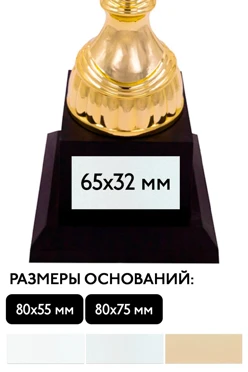 Шильд прямоугольный 65x32 мм#1