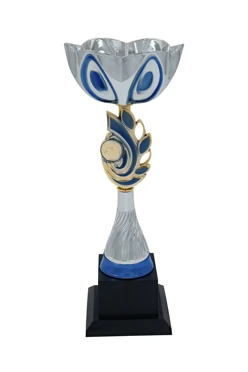 Кубок ИК0067#1