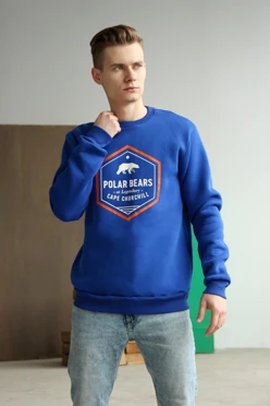Купить толстовку Тревис унисекс "Polar Bears"