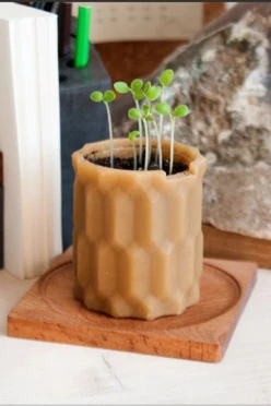 Набор для выращивания "Растицвет"