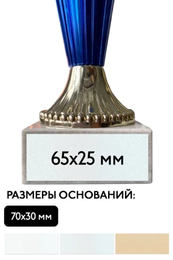 Шильд прямоугольный 65х25 мм#1