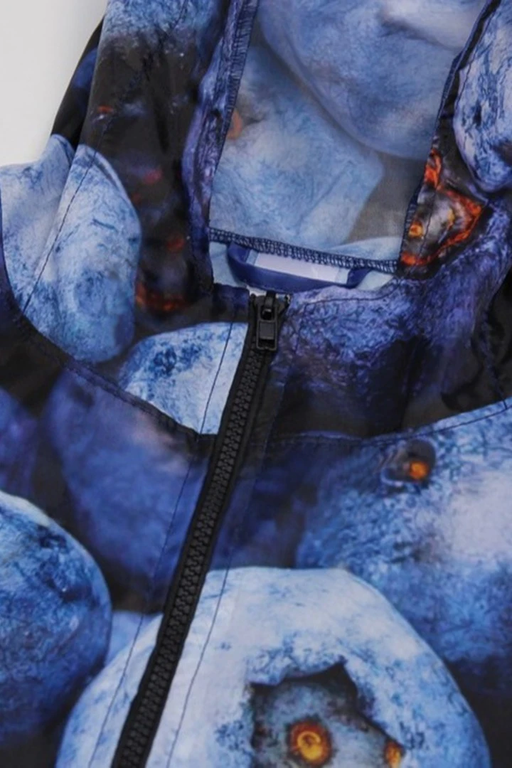 Купить ветровку Райдер с капюшоном унисекс, с полной запечаткой "Blueberry" Купить ветровку Райдер с капюшоном унисекс, с полной запечаткой "Blueberry"