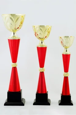 Кубок ИК0020#1