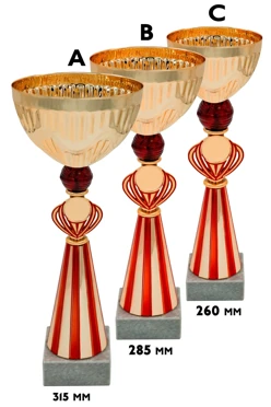 Купить кубок ИК0072