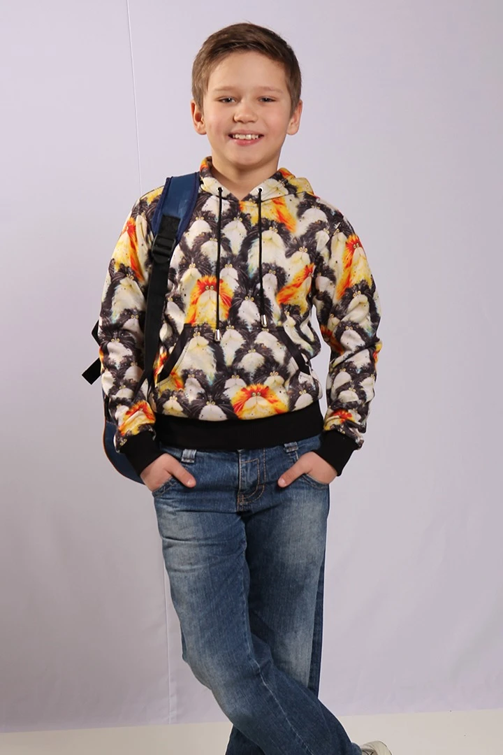 Худи Томми детский из адидаса с полной запечаткой "Cats"#2