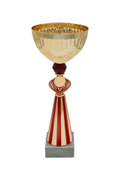 Кубок ИК0072#1