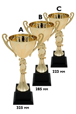 Купить кубок ИК0076