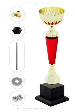 Кубок ИК0011#2