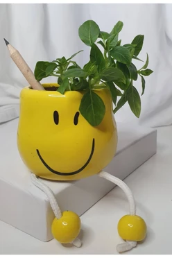 Mini карандаш с семенами#1