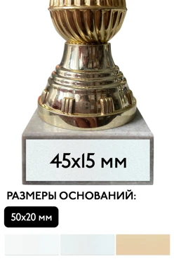 Шильд прямоугольный 45х15 мм#1