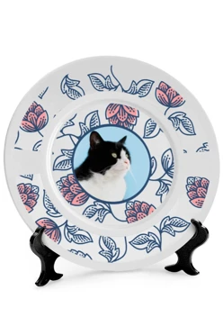 Купить тарелку с принтом на ободе "Cat's plate"