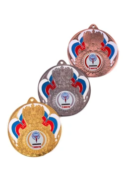 Медаль металлическая МК294 70мм с шильдом 25мм#2