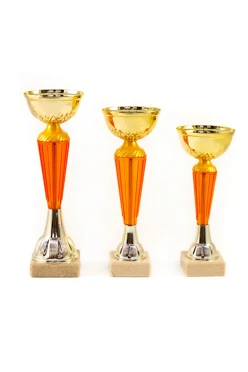 Кубок КМ5007#1