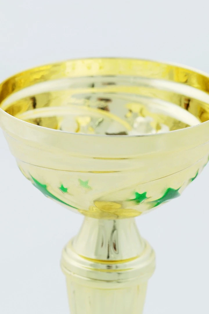 Кубок ИК0005#3