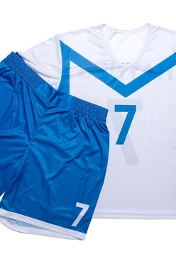 Купить волейбольную форму Хэнди мужская с полной запечаткой "Haynes"