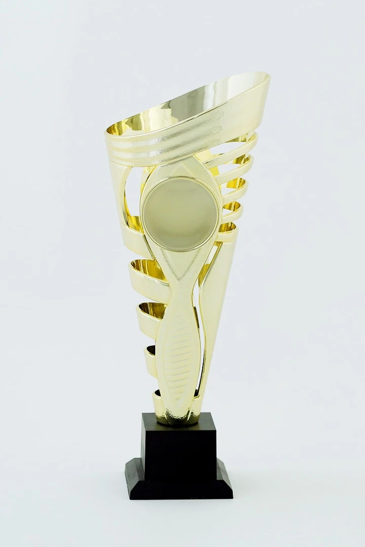 Приз Факел В328#1