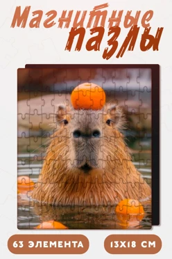Купить пазл магнитный с нанесением, А5 (63 элемента)