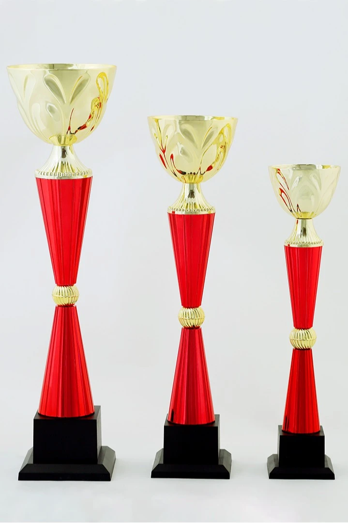 Кубок ИК0020#1