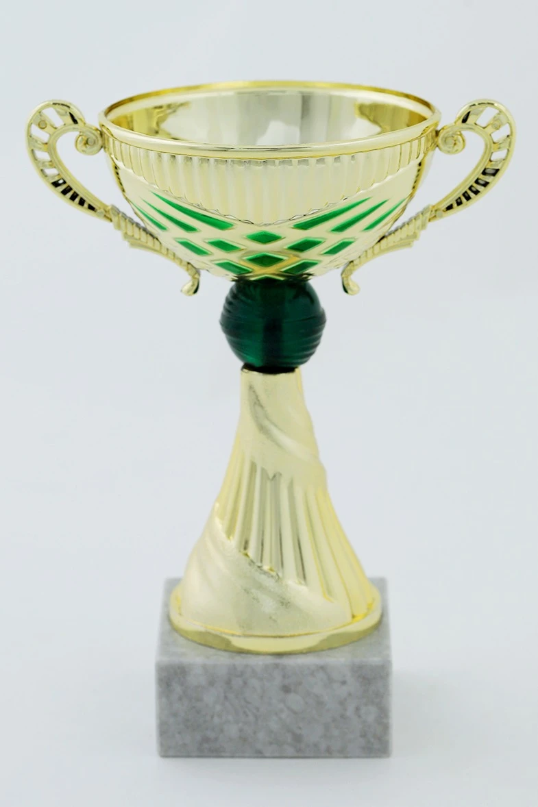 Кубок ИК0007#5