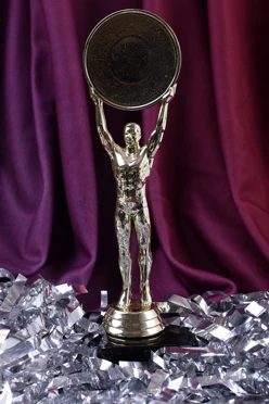 Приз Победа 6011-G#1