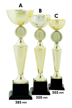 Купить кубок ИК0016