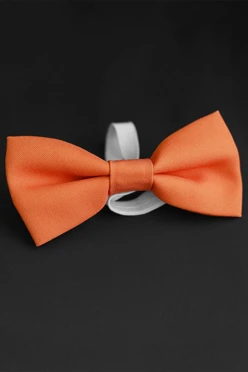 Галстук-бабочка Эксперт на резинке, однотонная#1