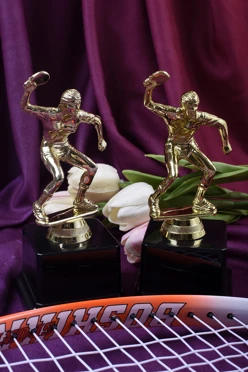 Приз Настольный теннис жен. 204-092-G#1